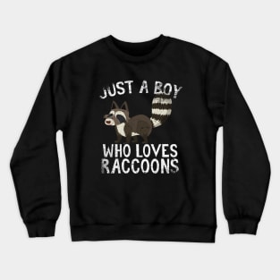 Just A Boy Who Loves Raccoons Crewneck Sweatshirt